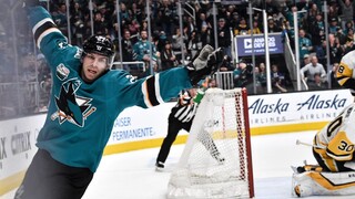 Vyše 470 zápasov v NHL a viac ako 200 bodov. Fínsky hokejista ukončil kariéru